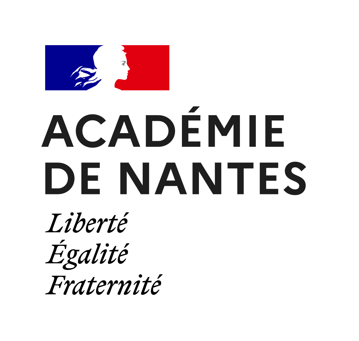 Nantes Université UCLouvain ChatGPT